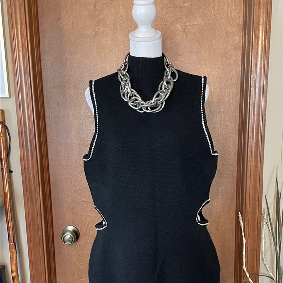 Elegant Sleeveless, Sweater Maxi by Express - Picture 3 of 17